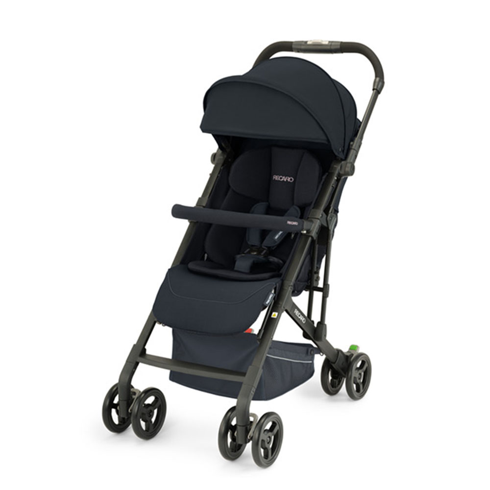 RECARO Easylife Elite 2 Select, Sort