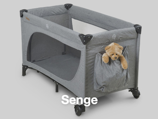 Senge